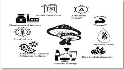 Submerged cultivation and phytochemical analysis of medicinal mushrooms (Trametes sp.)